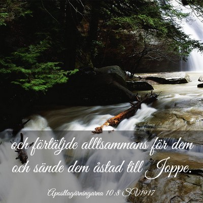 Picture 03 - Apostlagärningarna 10:8 SV1917 - och förtäljde alltsammans för dem och sände - Bible Verse Picture