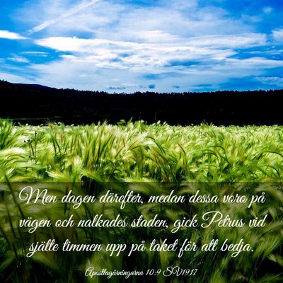 Picture 03 - Apostlagärningarna 10:9 SV1917 - Men dagen därefter, medan dessa voro på vägen - Bible Verse Picture
