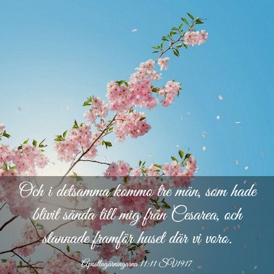 Picture 03 - Apostlagärningarna 11:11 SV1917 - Och i detsamma kommo tre män, som hade blivit - Bible Verse Picture