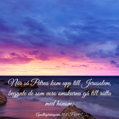 Picture 03 - Apostlagärningarna 11:2 SV1917 - När så Petrus kom upp till Jerusalem, begynte - Bible Verse Picture