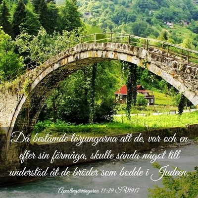 Picture 03 - Apostlagärningarna 11:29 SV1917 - Då bestämde lärjungarna att de, var och en - Bible Verse Picture