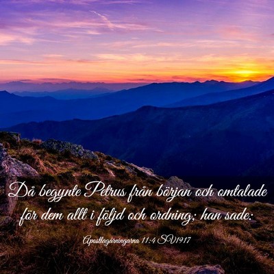 Picture 03 - Apostlagärningarna 11:4 SV1917 - Då begynte Petrus från början och omtalade - Bible Verse Picture