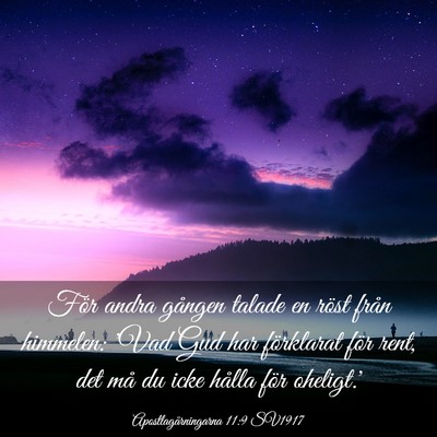Picture 03 - Apostlagärningarna 11:9 SV1917 - För andra gången talade en röst från - Bible Verse Picture