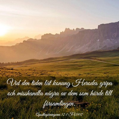 Picture 03 - Apostlagärningarna 12:1 SV1917 - Vid den tiden lät konung Herodes gripa och - Bible Verse Picture