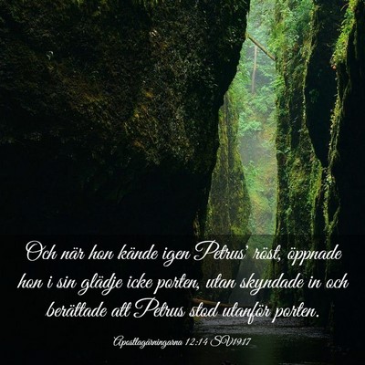 Picture 03 - Apostlagärningarna 12:14 SV1917 - Och när hon kände igen Petrus' röst, öppnade - Bible Verse Picture