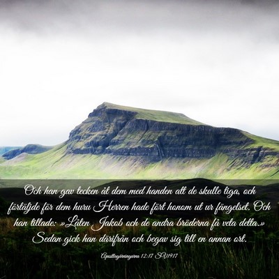 Picture 03 - Apostlagärningarna 12:17 SV1917 - Och han gav tecken åt dem med handen att de - Bible Verse Picture