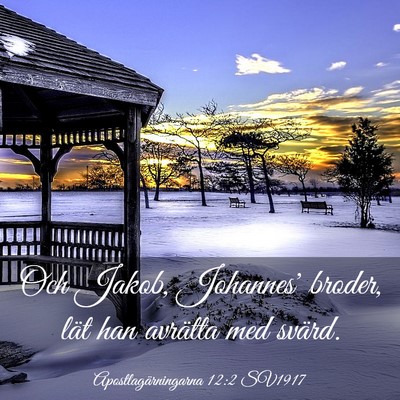 Picture 03 - Apostlagärningarna 12:2 SV1917 - Och Jakob, Johannes' broder, lät han avrätta - Bible Verse Picture