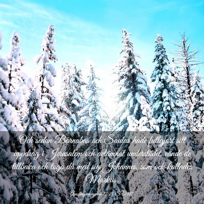 Picture 03 - Apostlagärningarna 12:25 SV1917 - Och sedan Barnabas och Saulus hade fullgjort sitt - Bible Verse Picture