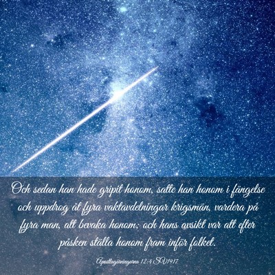 Picture 03 - Apostlagärningarna 12:4 SV1917 - Och sedan han hade gripit honom, satte han honom - Bible Verse Picture
