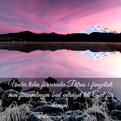 Picture 03 - Apostlagärningarna 12:5 SV1917 - Under tiden förvarades Petrus i fängelset, men - Bible Verse Picture