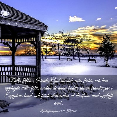 Picture 03 - Apostlagärningarna 13:17 SV1917 - Detta folks, Israels, Gud utvalde våra fäder, - Bible Verse Picture