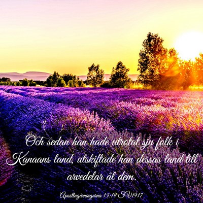 Picture 03 - Apostlagärningarna 13:19 SV1917 - Och sedan han hade utrotat sju folk i Kanaans - Bible Verse Picture