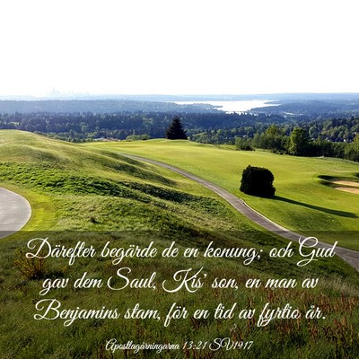 Picture 03 - Apostlagärningarna 13:21 SV1917 - Därefter begärde de en konung; och Gud gav dem - Bible Verse Picture