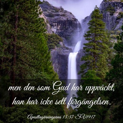 Picture 03 - Apostlagärningarna 13:37 SV1917 - men den som Gud har uppväckt, han har icke sett - Bible Verse Picture