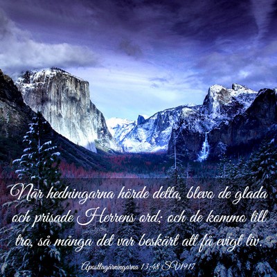 Picture 03 - Apostlagärningarna 13:48 SV1917 - När hedningarna hörde detta, blevo de glada och - Bible Verse Picture