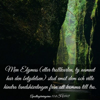 Picture 03 - Apostlagärningarna 13:8 SV1917 - Men Elymas (eller trollkarlen, ty namnet har den - Bible Verse Picture