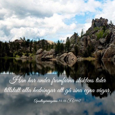 Picture 03 - Apostlagärningarna 14:16 SV1917 - Han har under framfarna släktens tider tillstatt - Bible Verse Picture