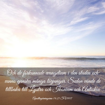 Picture 03 - Apostlagärningarna 14:21 SV1917 - Och de förkunnade evangelium i den staden och - Bible Verse Picture