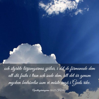 Picture 03 - Apostlagärningarna 14:22 SV1917 - och styrkte lärjungarnas själar, i det de - Bible Verse Picture