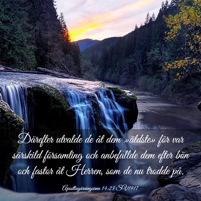 Picture 03 - Apostlagärningarna 14:23 SV1917 - Därefter utvalde de åt dem »äldste» för var - Bible Verse Picture