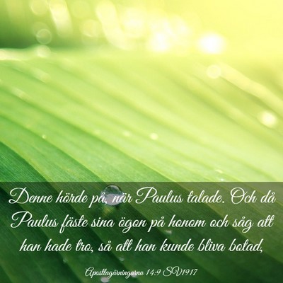 Picture 03 - Apostlagärningarna 14:9 SV1917 - Denne hörde på, när Paulus talade. Och då - Bible Verse Picture