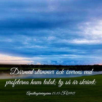 Picture 03 - Apostlagärningarna 15:15 SV1917 - Därmed stämmer ock överens vad profeterna hava - Bible Verse Picture