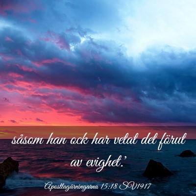 Picture 03 - Apostlagärningarna 15:18 SV1917 - såsom han ock har vetat det förut av - Bible Verse Picture