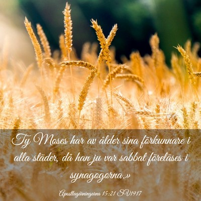 Picture 03 - Apostlagärningarna 15:21 SV1917 - Ty Moses har av ålder sina förkunnare i alla - Bible Verse Picture