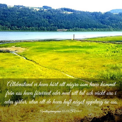 Picture 03 - Apostlagärningarna 15:24 SV1917 - Alldenstund vi hava hört att några som hava - Bible Verse Picture