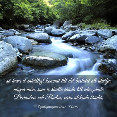 Picture 03 - Apostlagärningarna 15:25 SV1917 - så hava vi enhälligt kommit till det beslutet - Bible Verse Picture