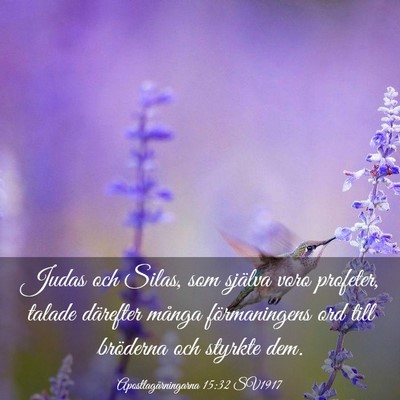 Picture 03 - Apostlagärningarna 15:32 SV1917 - Judas och Silas, som själva voro profeter, - Bible Verse Picture
