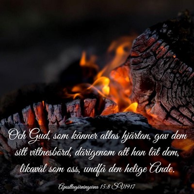 Picture 03 - Apostlagärningarna 15:8 SV1917 - Och Gud, som känner allas hjärtan, gav dem sitt - Bible Verse Picture