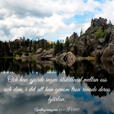 Picture 03 - Apostlagärningarna 15:9 SV1917 - Och han gjorde ingen åtskillnad mellan oss och - Bible Verse Picture