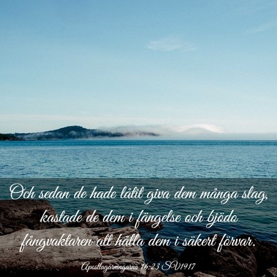 Picture 03 - Apostlagärningarna 16:23 SV1917 - Och sedan de hade låtit giva dem många slag, - Bible Verse Picture