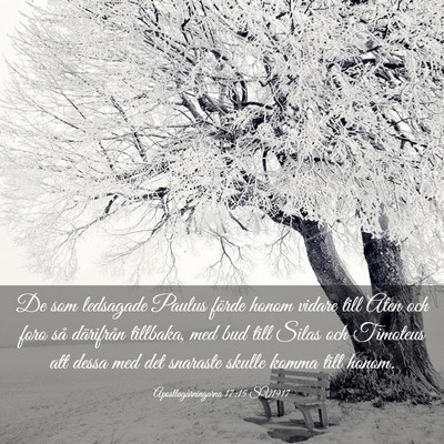 Picture 03 - Apostlagärningarna 17:15 SV1917 - De som ledsagade Paulus förde honom vidare till - Bible Verse Picture