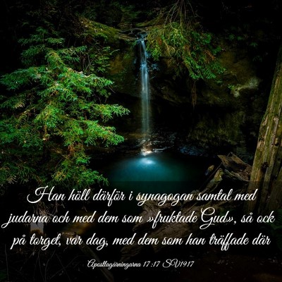 Picture 03 - Apostlagärningarna 17:17 SV1917 - Han höll därför i synagogan samtal med judarna - Bible Verse Picture