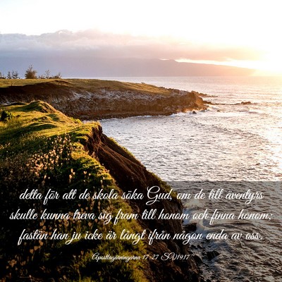 Picture 03 - Apostlagärningarna 17:27 SV1917 - detta för att de skola söka Gud, om de till - Bible Verse Picture