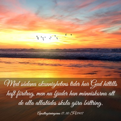 Picture 03 - Apostlagärningarna 17:30 SV1917 - Med sådana okunnighetens tider har Gud hittills - Bible Verse Picture