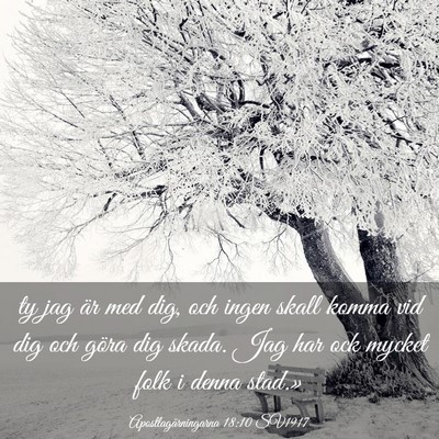 Picture 03 - Apostlagärningarna 18:10 SV1917 - ty jag är med dig, och ingen skall komma vid dig - Bible Verse Picture