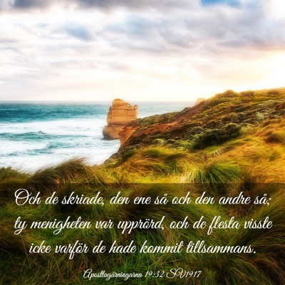 Picture 03 - Apostlagärningarna 19:32 SV1917 - Och de skriade, den ene så och den andre så; ty - Bible Verse Picture