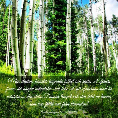 Picture 03 - Apostlagärningarna 19:35 SV1917 - Men stadens kansler lugnade folket och sade: - Bible Verse Picture