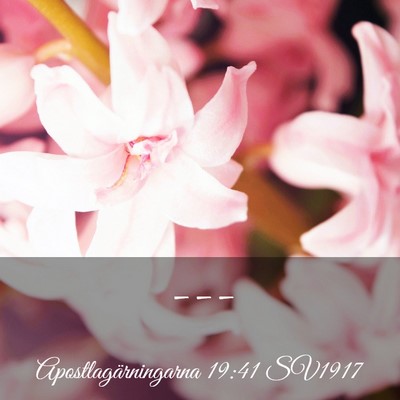 Picture 03 - Apostlagärningarna 19:41 SV1917 -  - Bible Verse Picture