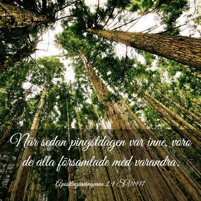 Picture 03 - Apostlagärningarna 2:1 SV1917 - När sedan pingstdagen var inne, voro de alla - Bible Verse Picture