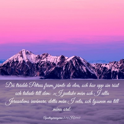 Picture 03 - Apostlagärningarna 2:14 SV1917 - Då trädde Petrus fram, jämte de elva, och hov - Bible Verse Picture