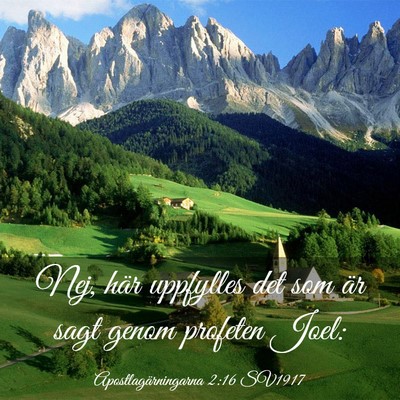 Picture 03 - Apostlagärningarna 2:16 SV1917 - Nej, här uppfylles det som är sagt genom - Bible Verse Picture