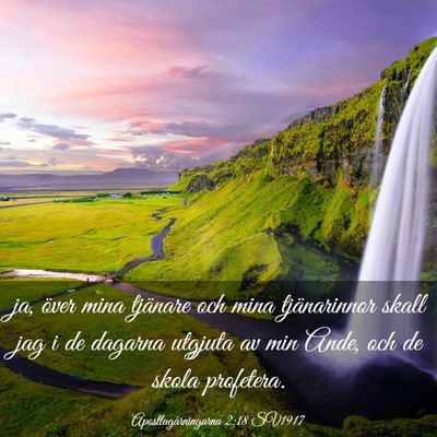 Picture 03 - Apostlagärningarna 2:18 SV1917 - ja, över mina tjänare och mina tjänarinnor - Bible Verse Picture