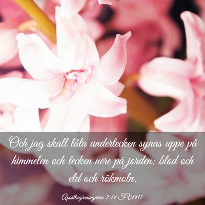 Picture 03 - Apostlagärningarna 2:19 SV1917 - Och jag skall låta undertecken synas uppe på - Bible Verse Picture