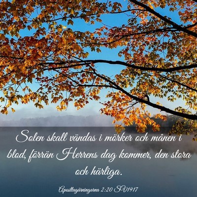 Picture 03 - Apostlagärningarna 2:20 SV1917 - Solen skall vändas i mörker och månen i blod, - Bible Verse Picture