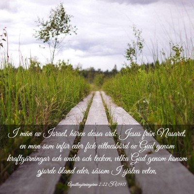 Picture 03 - Apostlagärningarna 2:22 SV1917 - I män av Israel, hören dessa ord: Jesus från - Bible Verse Picture