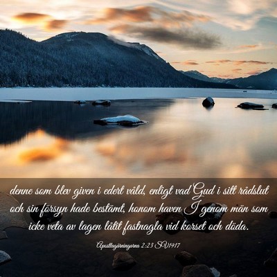 Picture 03 - Apostlagärningarna 2:23 SV1917 - denne som blev given i edert våld, enligt vad - Bible Verse Picture